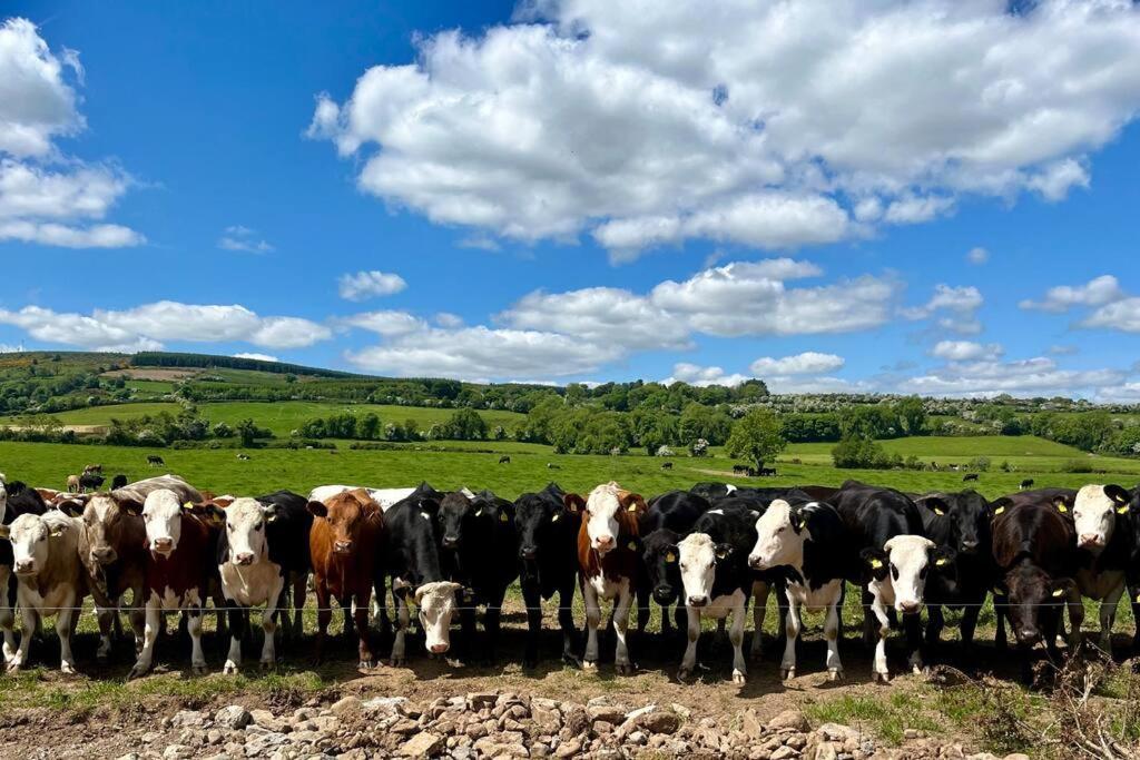 Tom Rocky'S Farmyard Villa เทมเพิลมอร์ ภายนอก รูปภาพ